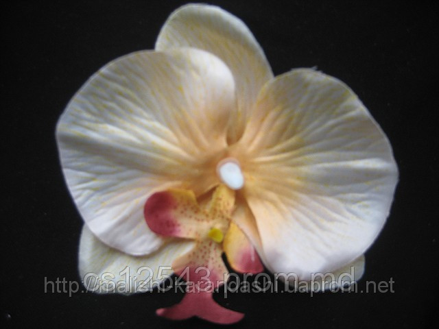 Орхидея на резинке, орхидея на заколке, резинки для волос, цветы в волосах - фото 1 - id-p1996522