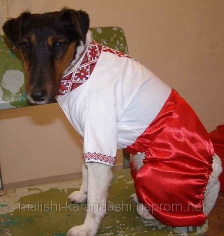 Одежда для собак, вышиванка для собаки, одежда для животных - фото 1 - id-p1996621