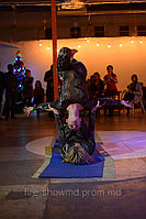Акро-студия "Tonglen" - пластическое шоу с элементами акробатики