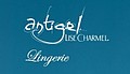 Lingerie "Lise Charmel"