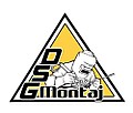 SRL «DSG Montaj»