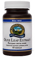 Листья Оливы - Olive Leaf Extract
