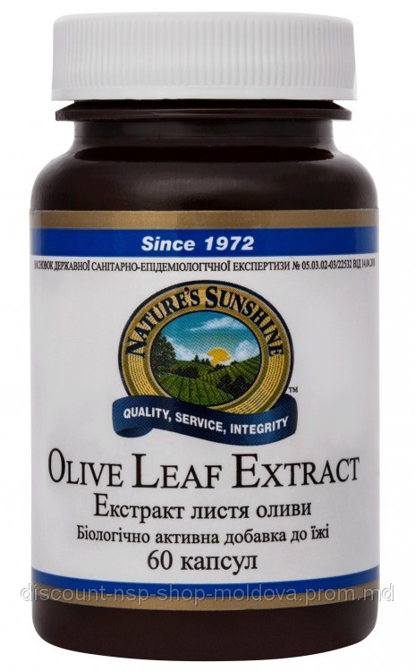 Листья Оливы - Olive Leaf Extract - фото 1 - id-p2123208