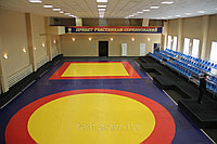 Борцовский ковёр