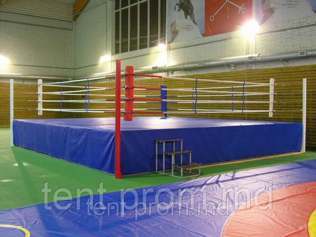 Боксёрский ринг - фото 1 - id-p2152601