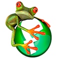 Веб-студия «FROGGY»