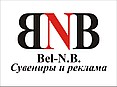 Интернет-магазин "Designsuvenir"