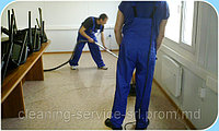 Molcleaning SRL Ina