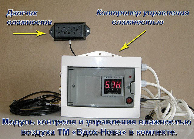 вдох нова. реле влажности воздуха для управления вентиляцией. вдох нова. вдох человека. свободное дыхание.