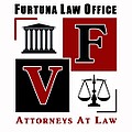 Law Office «Viorel Furtuna»
