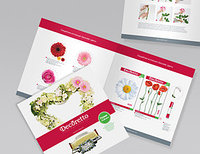 Design Reviste, Cataloage (Дизайн журналов, каталогов)