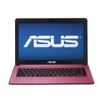 Asus X401A X401A-WX309D