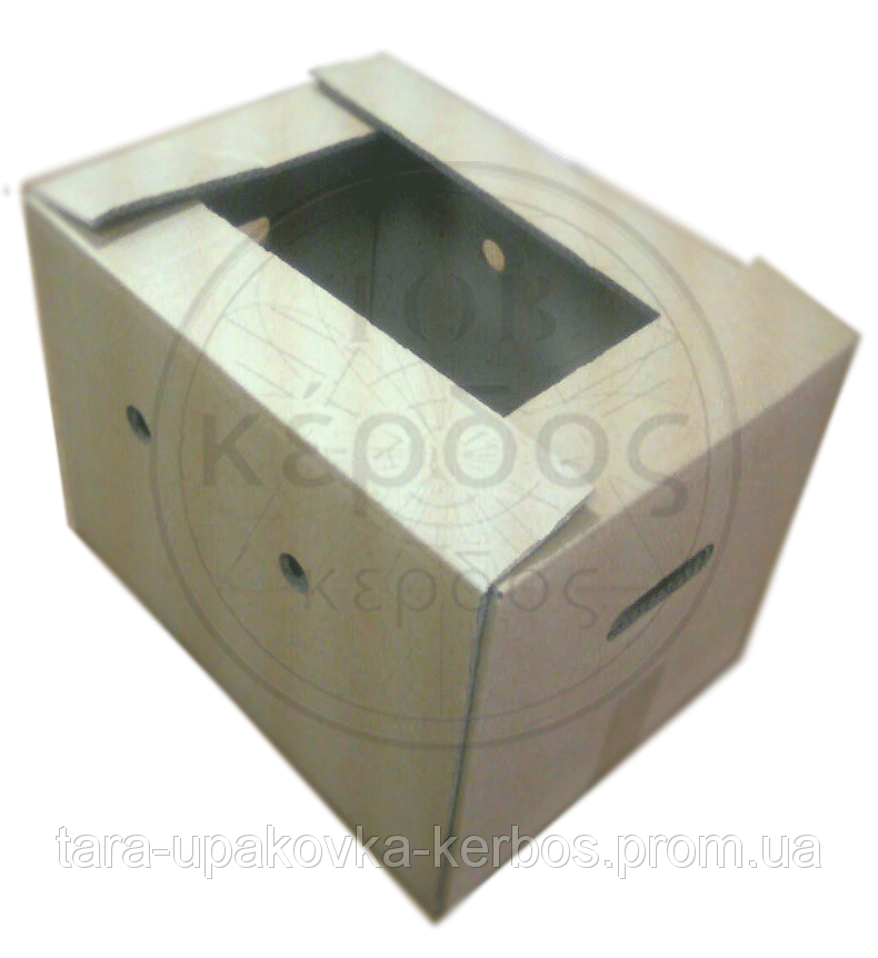 Ящики для Огурцов Тара и Упаковка - фото 1 - id-p2957676