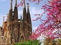 olgabarcelona