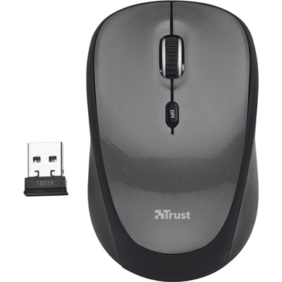 Компьютерная мышь TRUST Yvi Wireless Mini Mouse - фото 1 - id-p3532524
