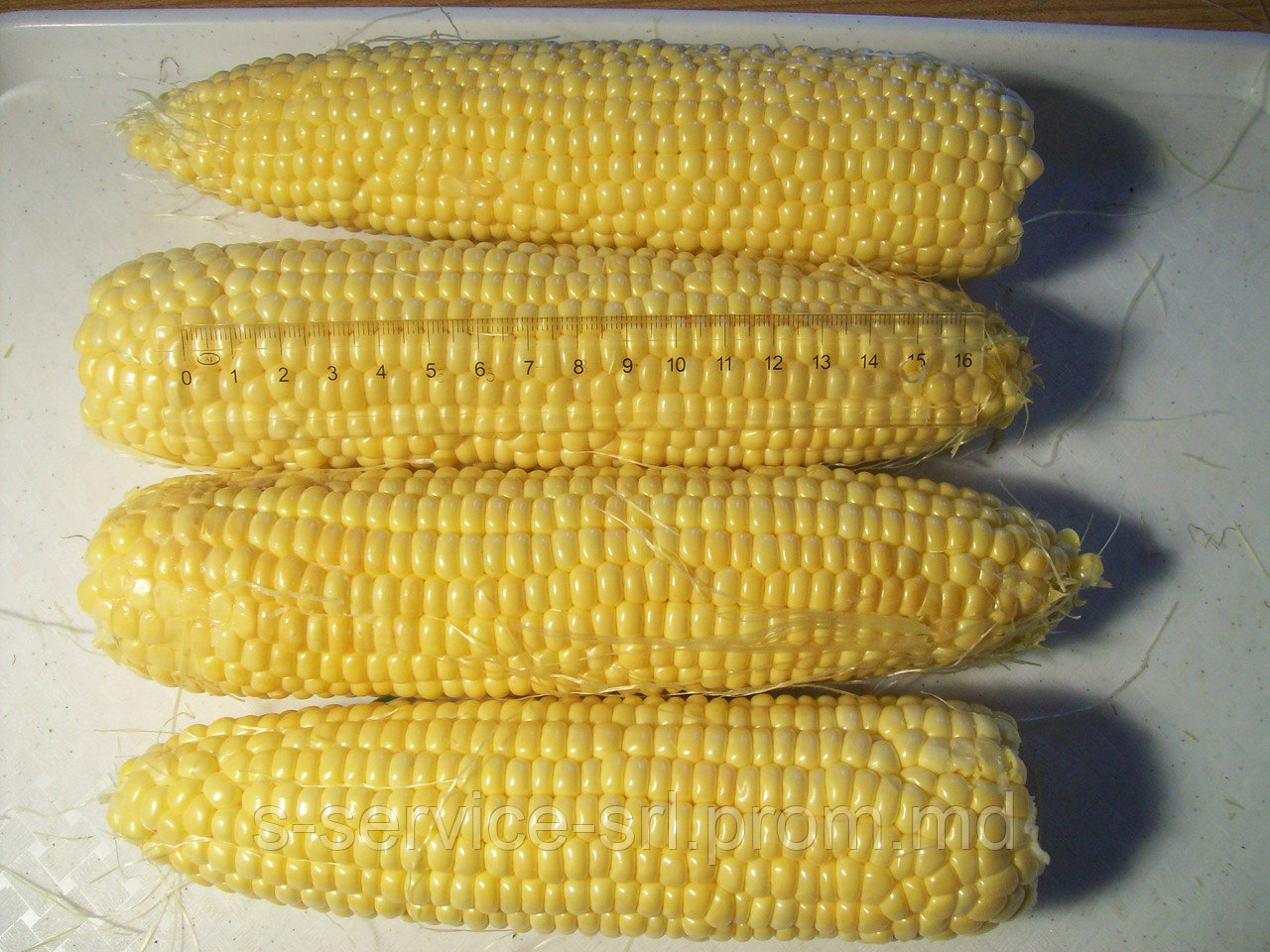 Замороженная кукуруза / початок 2018 - Венгрия / IQF corn cobs - Hungary - фото 1 - id-p39229