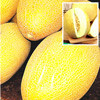 Дыня F1 Сладкий ананас, семена - фото 1 - id-p3934425