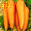 Морковь Осенний король, семена - фото 1 - id-p3934527