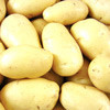 Картофель Баллада, семена - фото 1 - id-p3980898