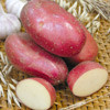 Картофель Краса, семена - фото 1 - id-p3980901