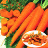 Морковь Детский вкус, семена - фото 1 - id-p3981661