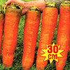 Морковь Красный великан, семена