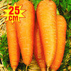 Морковь Осенний король, семена