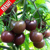 Томат Сладкая гроздь шоколадная, семена