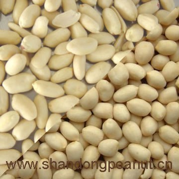 Продукция арахиса и изюм, подсолнечное и другие продукты орех - фото 1 - id-p4244