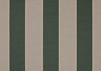 Маркизные водонепроницаемые ткани для навесов Dickson Orchestra 8934 ширина рулона 120см полоска зеленый/беж