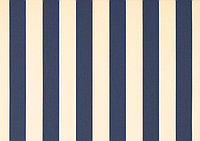 Маркіза Чернівці Dickson 8556 ширина рулона 120см полоска белый/синий.