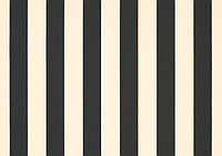 Акрилова ткани - тенты навесы Dickson 8919 ширина рулона 120см полоска черный/белый.