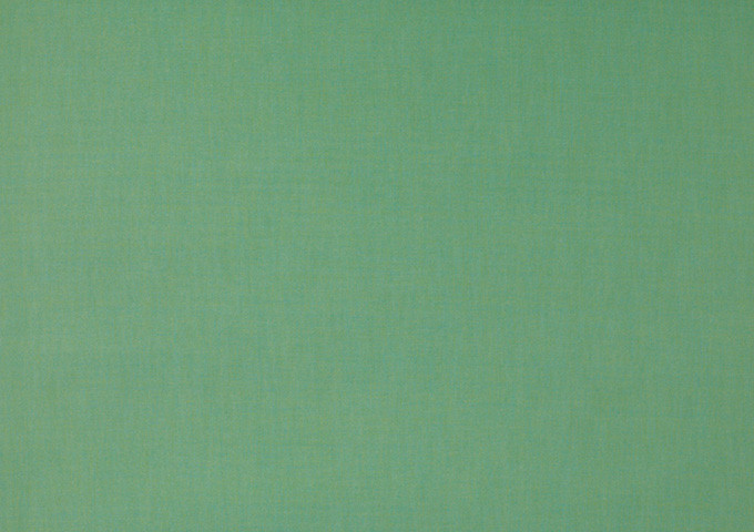 Специальные ткани для навесов и маркиз Dickson 7103 ширина рулона 120см зеленый. В наличии и под заказ. - фото 1 - id-p4177480