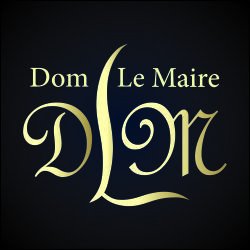 Сумки от DOM LE MAIRE - фото 1 - id-p4186807