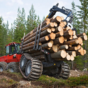 услуги лесозаготовки и деревообработки