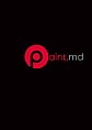 PaintService 