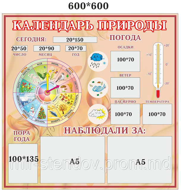 Уголок природы для школы, фото 1