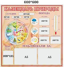 Уголок природы для школы