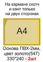 Карманы для рисунков цветные А4