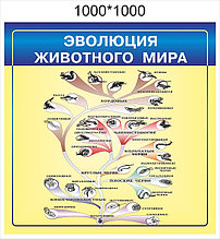 Стенды для кабинета биологии поштучно