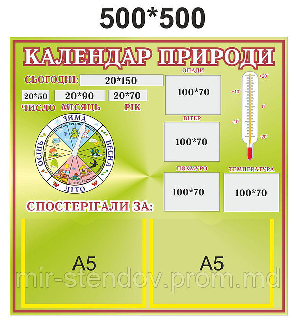 Уголок природы для школы Зеленый, фото 1