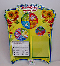 Уголок природы, календарь погоды