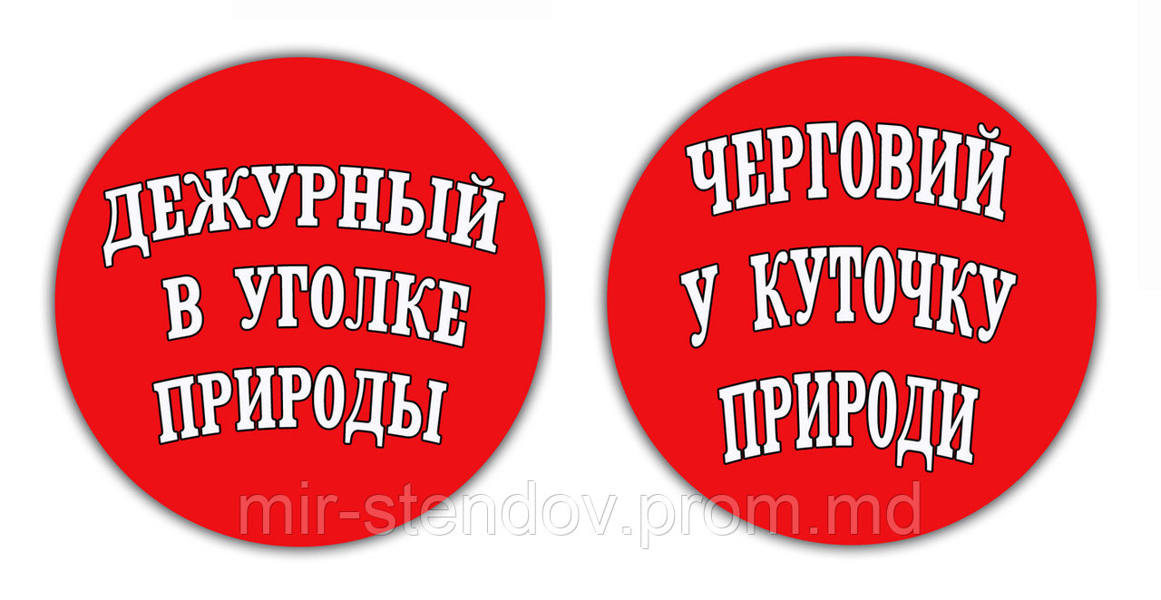 Значок "Дежурный" В уголке природы, фото 1