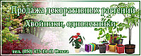 Рекламный баннер Растения