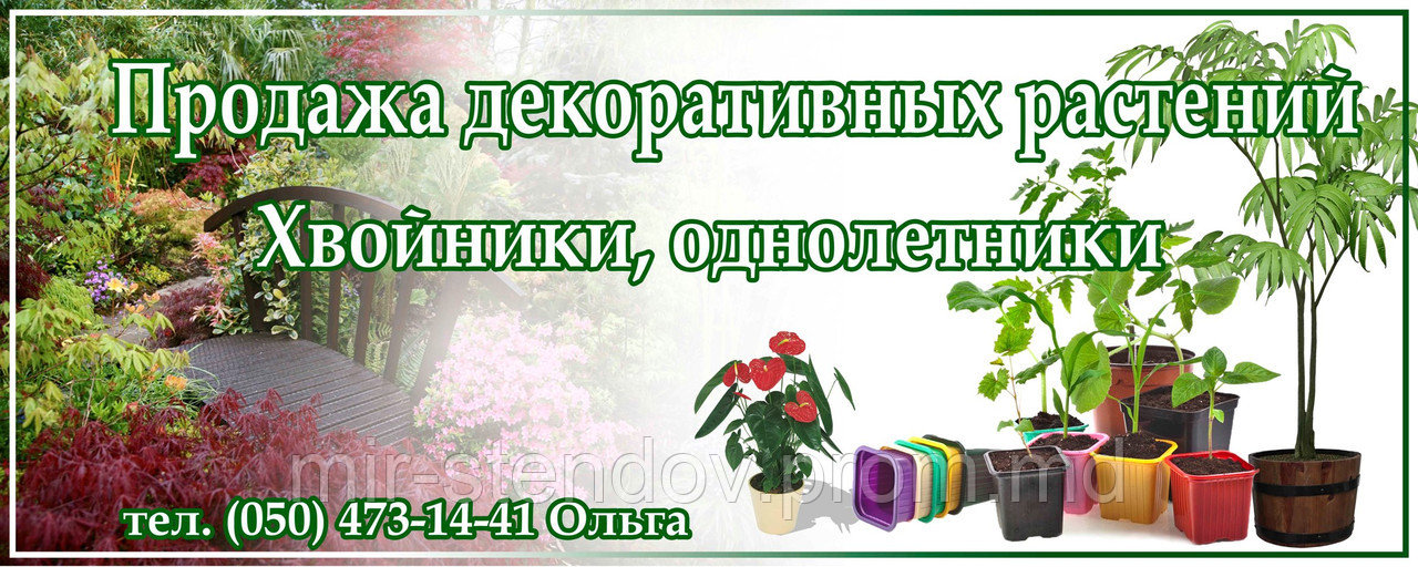 Рекламный баннер Растения - фото 1 - id-p4428199