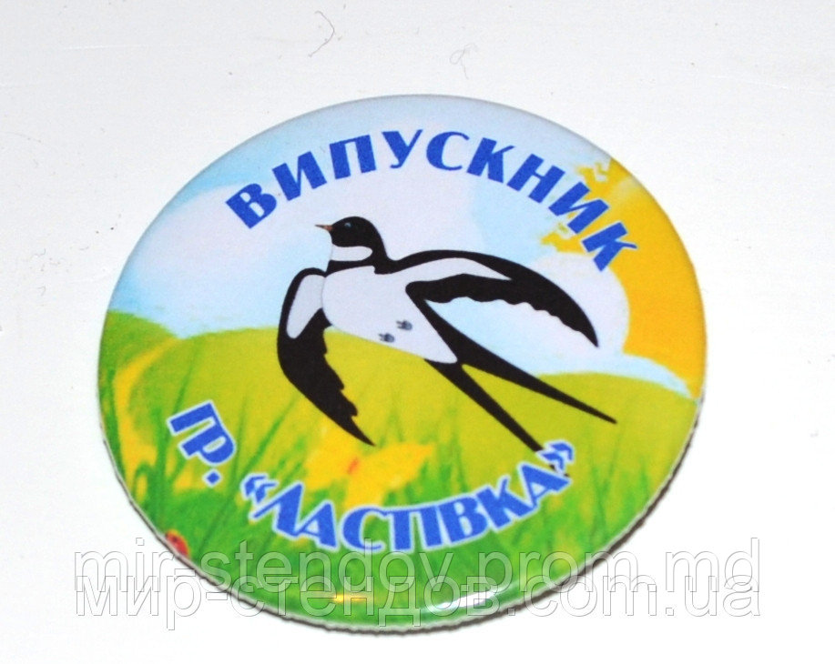 Значок "Выпускник детского сада" Ласточка, фото 1