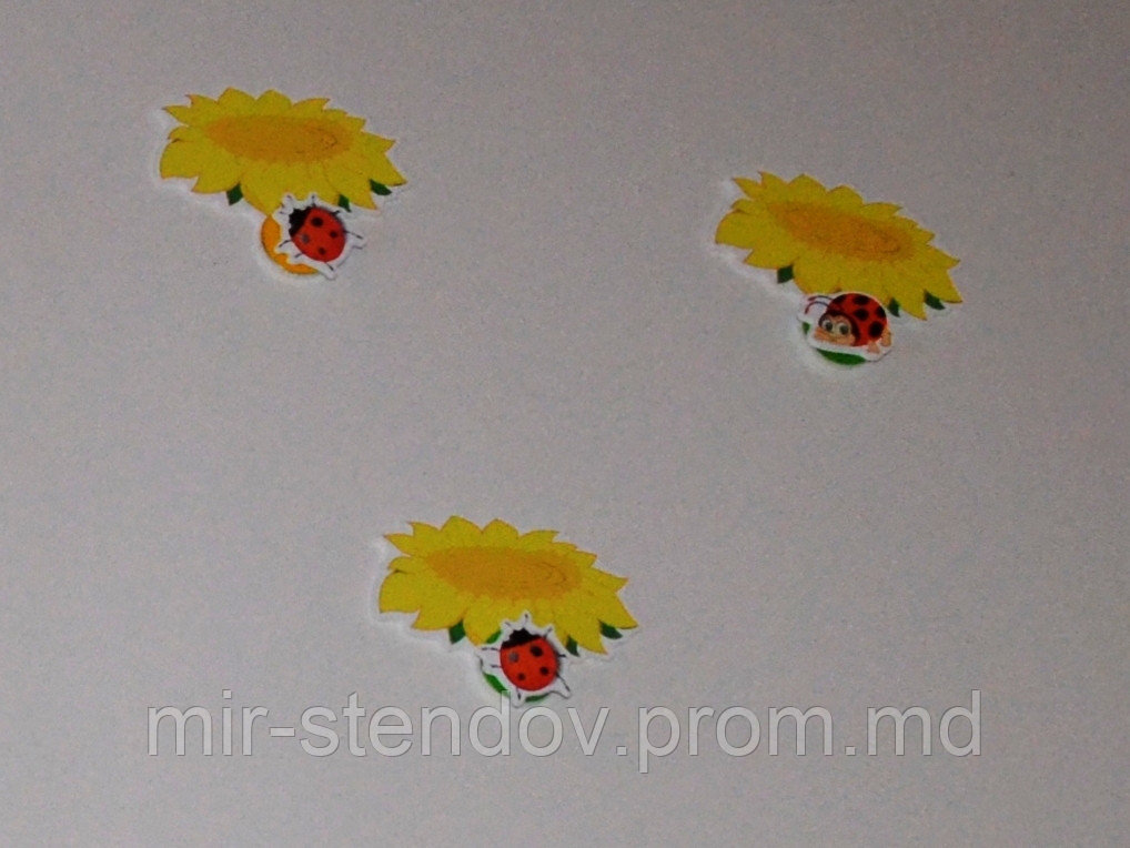 Магнитный стенд для крепления рисунка магнитом Подсолнушки, фото 1