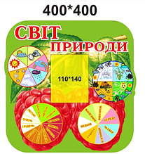 Уголок природы Ягодка