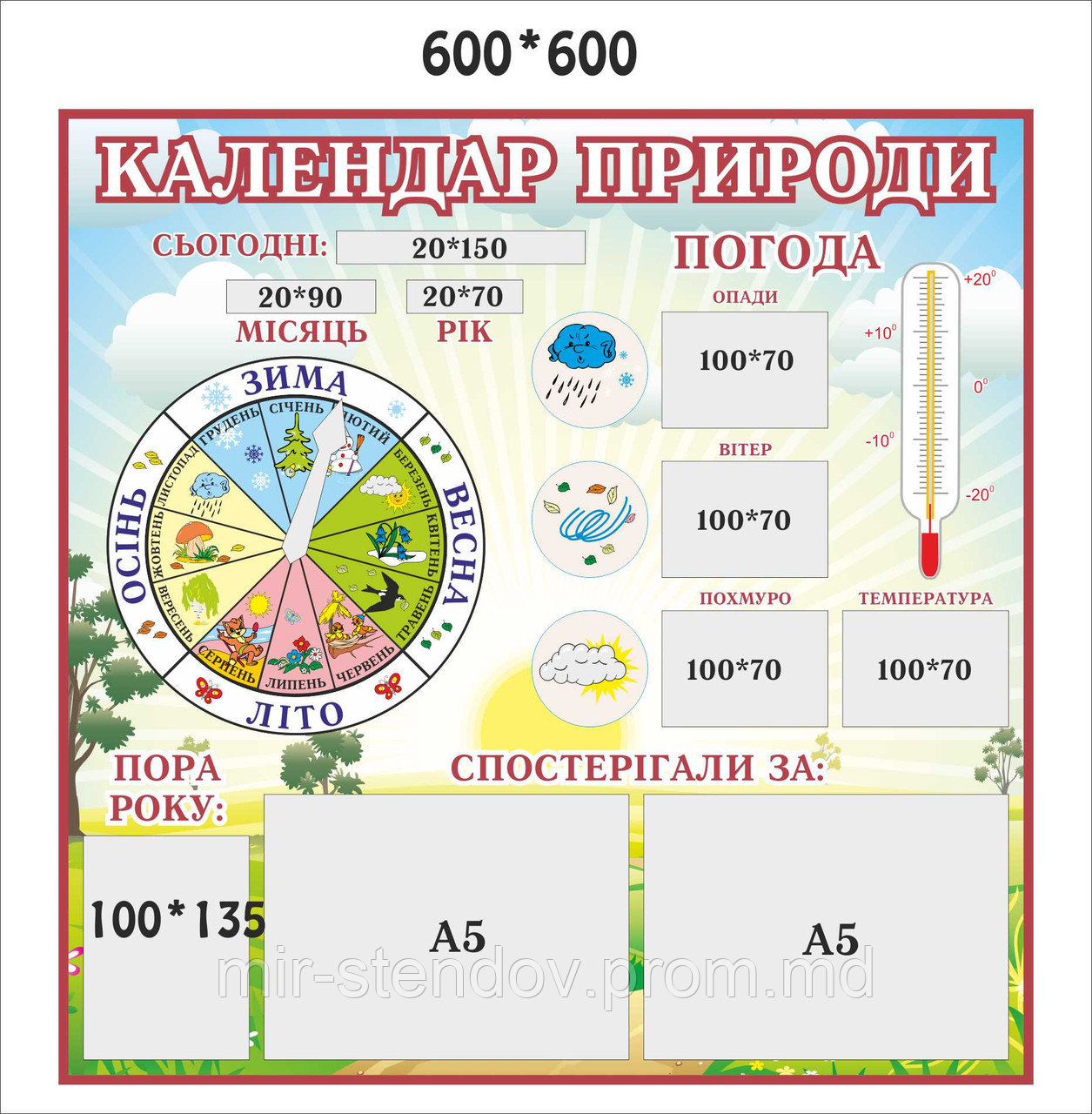 Уголок природы для школы Голубой, фото 1