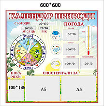 Уголок природы для школы Голубой